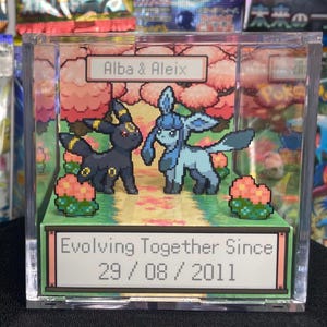 Könnte beinhalten: Eine transparente Acryl-Vitrine mit zwei pixeligen Pokémon-Charakteren, Umbreon und Glaziola, die auf einer grasbewachsenen Plattform mit rosa blühenden Bäumen stehen. Der Text "Alba & Aleix" und "Evolving Together Since 29/08/2011" sind angezeigt.