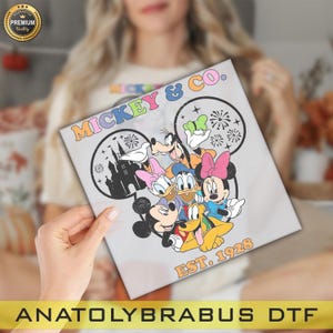 Disney 2025 Family Vacation Ready To Press, Disneyland DTF Transfer, Heat Press,Ready to Press, Ready To Apply Designs,DTF Transfer