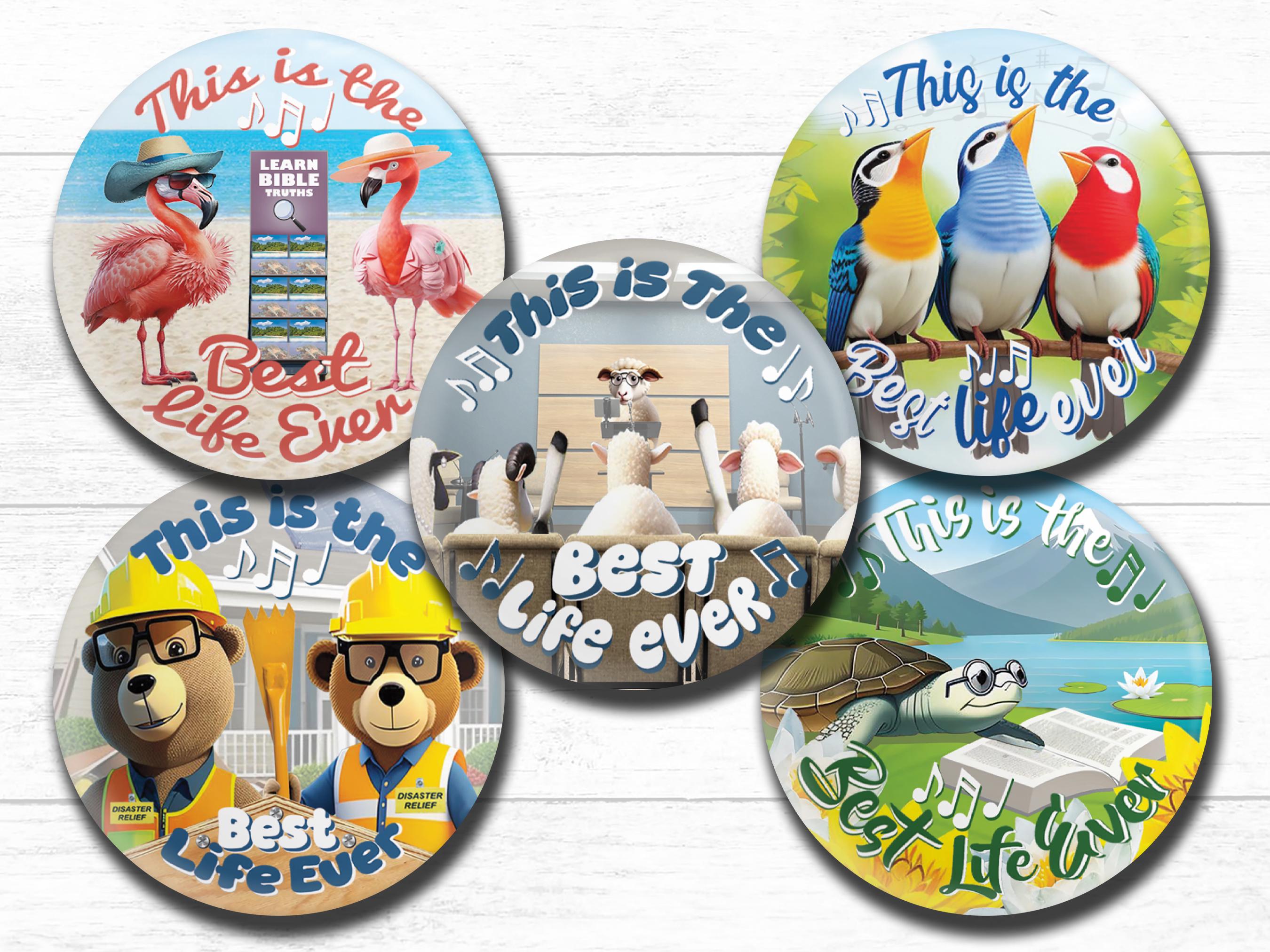 BUTTON VARIETY Pack: Das beste Leben aller Zeiten