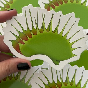 Könnte beinhalten: Ausgestanzte Aufkleber mit einem Venusfliegenfallen-Design. Die Aufkleber haben eine hellgrüne Innenseite mit roten Akzenten und weißen, gezackten Kanten. Die Aufkleber sind so gestaltet, dass sie der fleischfressenden Pflanze ähneln.
