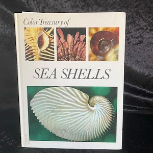 Color Treasury of Sea Shells | 1968 | Vintage Oceanography Book