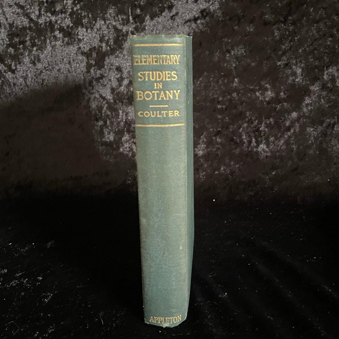 植物学の基礎研究 | 1913 | 古書・アンティーク・ヴィンテージ・学術書
