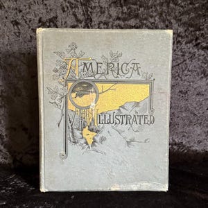 America Illustrated a cura di J. David Williams / 1883 / Libro antiquario