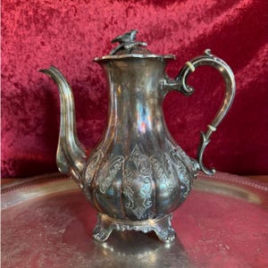 Sheffield Silver Plate Kaffeekanne mit Knochen im Griff | um 1850-1890 | Antikes Serviergeschirr