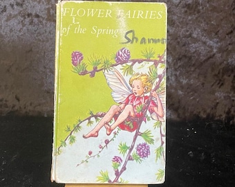 Hadas de las flores de la primavera de Cicely Mary Barker / 1974 / Libro de hadas vintage