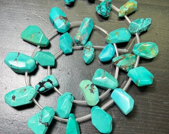 Faceted Turquoise Pendant Strand, Hubei Mint Blue, Spiderweb Matrix (15 inch)