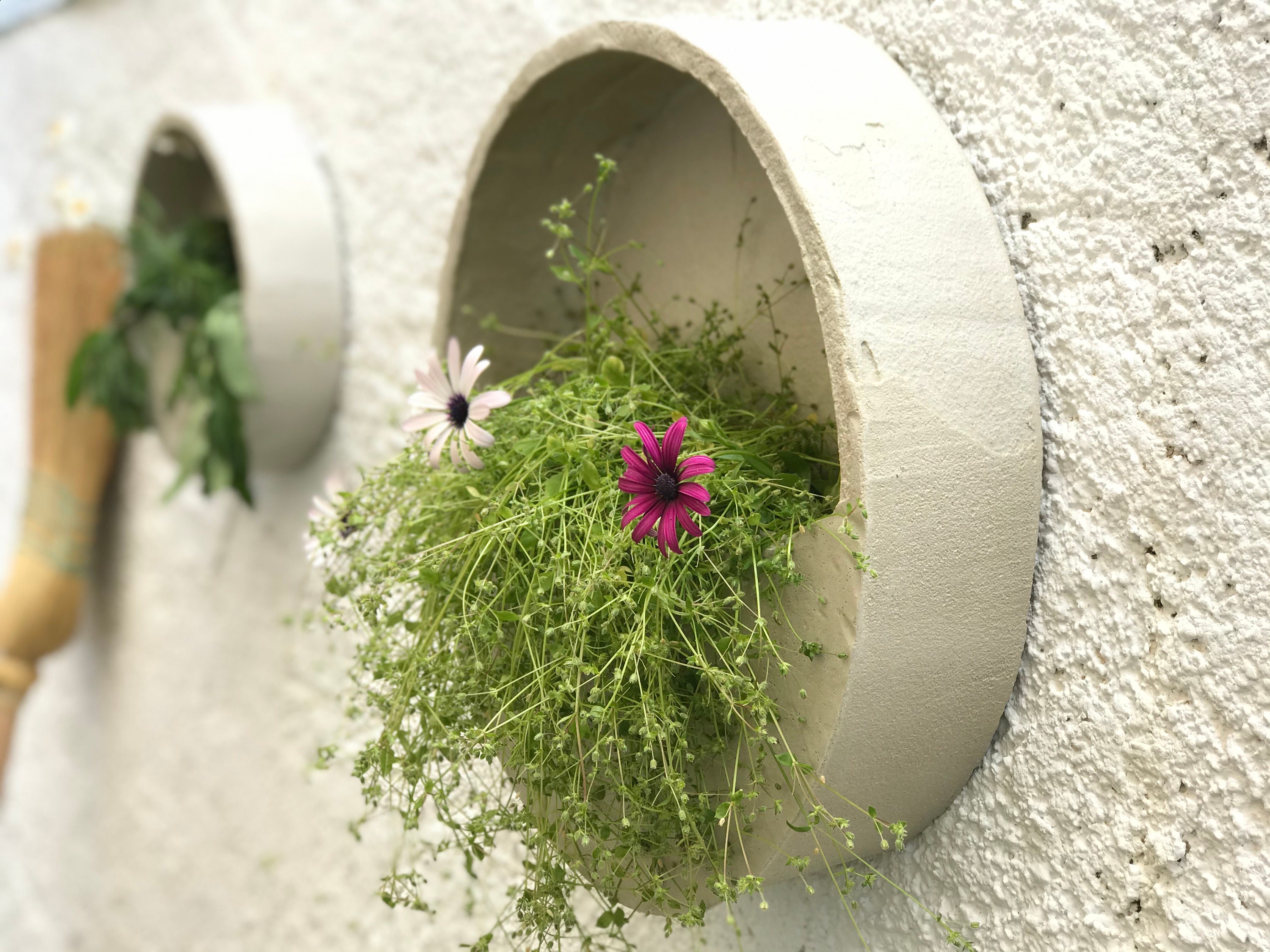 Betonnen ronde muur plantenbak set plantenbakken muur Etsy Nederland