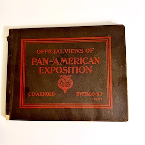 Pan American Exposition 1901 Souvenirs - Etsy