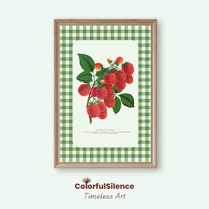 Raspberry Print, Fruit Wall Art, Green Gingham Artwork, Vintage Raspberry Illustration, Kitchen Decor, Fruit Lover Gift, Cottagecore Decor