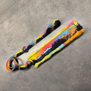 Minky Padded Slip Leash Rainbow Central Oregon| Martingale | Agility Leash | 2 inch or 1 inch | Flyball Leash | Customizable Name