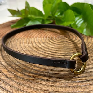 Custom Leather House Collar: Thin Dark Brown Dog ID Tag Collar