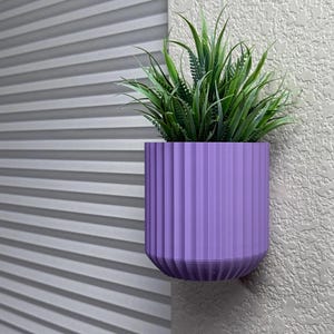 Peut inclure: Un pot de fleurs mural violet avec un design côtelé, contenant une plante verte à longues feuilles. Le pot est fixé à un mur texturé de couleur claire, avec une surface grise plissée en arrière-plan.
