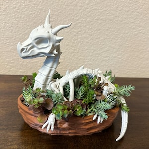 May include: A white dragon skeleton planter with a variety of succulents. The dragon's head and spine are visible, emerging from a terracotta-colored pot filled with green and brown plants. The planter is on a wooden surface.