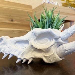 Dragon Skull Table Planter, Gothic Desk Decor, Fantasy Succulent Pot