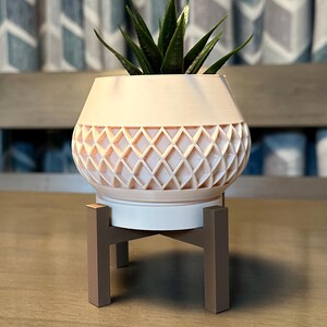 May include: A decorative planter with a geometric diamond pattern, holding a green plant. The planter is light pink and sits on a white base, supported by a brown stand. The plant has long, pointed green leaves.