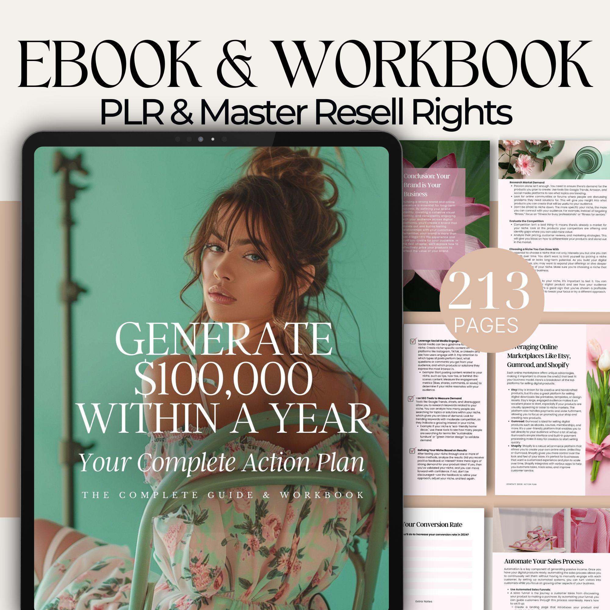 Make Money Online PLR MRR Digital Products Start An Online Business Guide Master Resell Rights Generate 100,000 Within a Year Guide DFY
