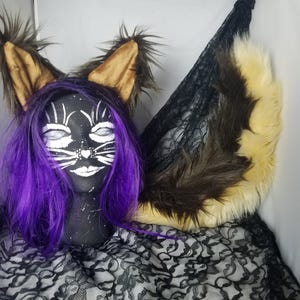 German Shepherd Ears and Tail