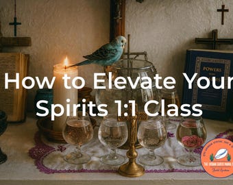 Puede incluir: Un periquito azul posado sobre un cuenco de cristal rodeado de cuatro copas transparentes, una vela blanca alta, un crucifijo de latón y un libro abierto. El texto How to Elevate Your Spirits 1:1 Class aparece superpuesto en color blanco.