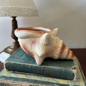 May include: A ceramic planter shaped like a conch shell with a cream-colored base and soft pinkish-brown accents. The shell features a textured, woven-like pattern on its exterior surface and a smooth, open top for holding small items or plants.