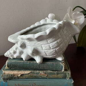 May include: A white ceramic seashell-shaped planter. The planter sits atop a stack of vintage books with teal covers. A white orchid flower is visible in the background. The planter has a textured surface and a detailed design.