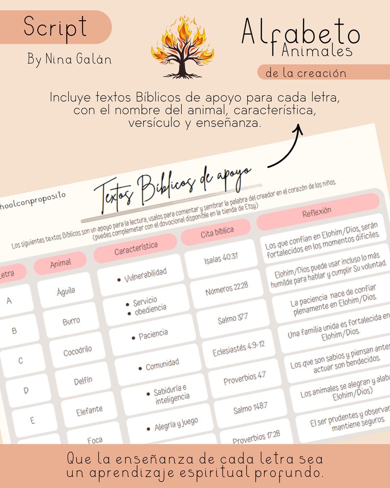 Alphabet Flashcards With Animals | SCRIPT | Spanish Letters With ...
