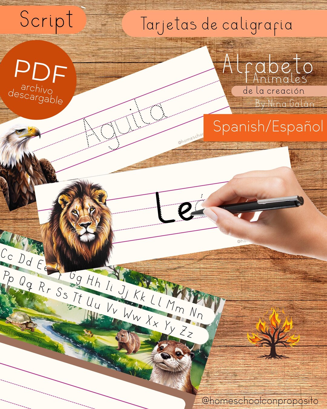 Animal Calligraphy Cards | SCRIPT | Printable Spanish Alphabet ...