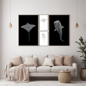 Puede incluir: Cuatro impresiones de arte minimalistas en blanco y negro con una manta raya, un tiburón ballena y dos tiburones ballena. Las impresiones están enmarcadas y colgadas en una pared blanca sobre un sofá blanco con almohadas y una manta beige.