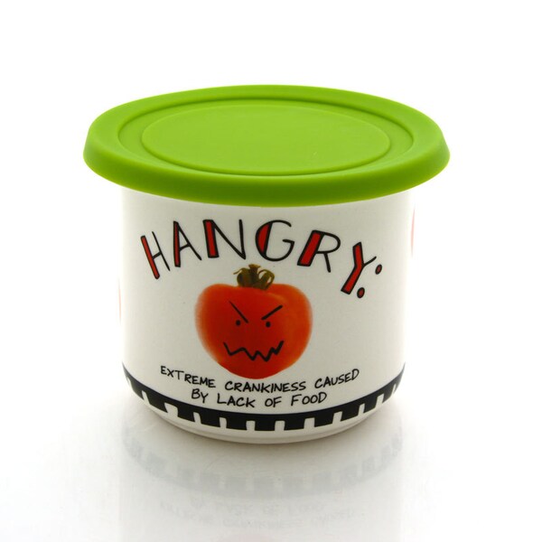 Hangry bowl for salad, leftovers, with silicon lid lunchbox storage solutions