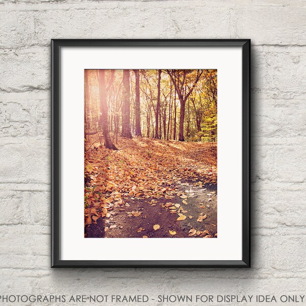 Nature Photography, Woodland Woods Rustic, Walden Pond, Trees Autumn Fall Foliage, Leaves and Trees, Orange, Landscape Photograph, Hike