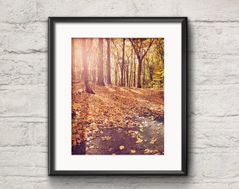 Nature Photography, Woodland Woods Rustic, Walden Pond, Trees Autumn Fall Foliage, Leaves and Trees, Orange, Landscape Photograph, Hike