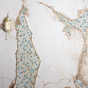 Decay Photograph, Urbex, Abandoned Photography, Abandoned Farmhouse, Rural, Rustic, Floral Wallpaper, Architecture, Farm Decor, Weathered