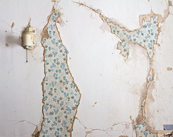 Decay Photograph, Urbex, Abandoned Photography, Abandoned Farmhouse, Rural, Rustic, Floral Wallpaper, Architecture, Farm Decor, Weathered