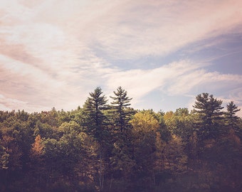 Walden Pond, Fall Nature Photography, Rustic Woods Woodland, Trees and Sky, Autumn, Dark Purple, Walden Pond, New England, Scenic Ombre