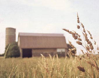 Barn Photography, Farm Photograph, Nature Photograph, Landscape, Autumn Harvest Decor, Rural Rustic Farmhouse Country Chic, Brown Tan