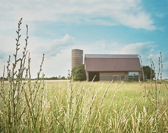 Barn Photography, Rustic Photograph, Cottage Decor, Country Decor, Farmhouse, Summer, Colorful Photograph, Nature Photography, Landscape