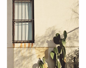 Southwest Window Photography, Dark Rustic Southwestern Decor, Cactus and Window, Cream Beige and Green, Tucson Arizona, Weathered, Art