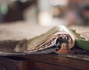 Abandoned Book Pages Fine Art Photography, Dark Decay, Urban Photograph, Gray Blue, Abandoned Forgotten, Halloween Art, Halloween