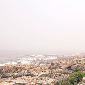 May include: A rocky coastline with a foggy sky and ocean in the distance. The rocks are brown and gray, and there is some green vegetation growing on them.