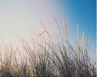 Summer Beach Photography, Nature Photography, Beach Grass, Blue Soft Dreamy, Minimal Modern Decor, Oceanside, Summertime, Seaside Art