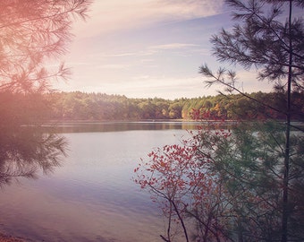 Walden Pond, Fall Photography, Nature Photograph, Landscape Photography, Purple Sunset, Natural Woodland Rustic, Woods, New England, Autumn