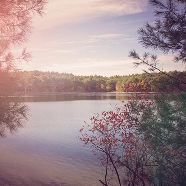 Walden Pond, Fall Photography, Nature Photograph, Landscape Photography, Purple Sunset, Natural Woodland Rustic, Woods, New England, Autumn