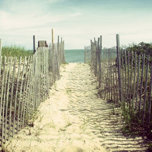 Beach Photography, Cape Cod Art, Cape Cod Print, Beach Decor, Coastal Wall Art, Coastal Print, Ocean Art, Beach House, sand dune, Seashore image 2