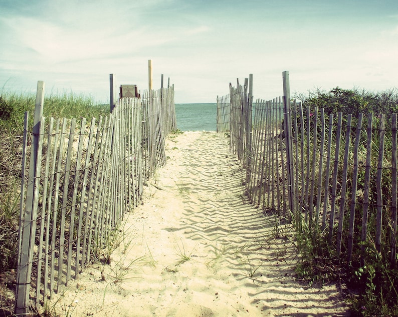 Beach Photography, Cape Cod Art, Cape Cod Print, Beach Decor, Coastal Wall Art, Coastal Print, Ocean Art, Beach House, sand dune, Seashore image 2