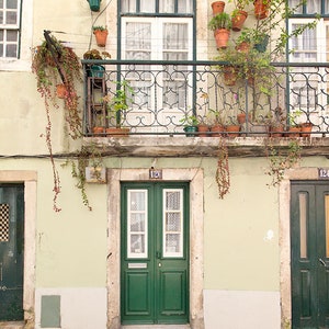 May include: A green double door with white trim and a white paneled window on each side. The door is on a building with a balcony with a wrought iron railing and potted plants.
