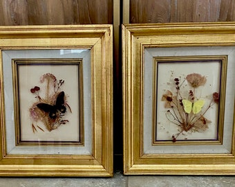 Pair Gilt Framed Dried Flowers Plants Rocky Mountain West Herbarium