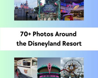 Disneyland Resort Photos | Over 70 High-Quality Images for Social Media & Marketing