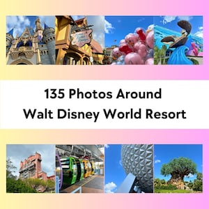 Fotos do Walt Disney World | 135 Imagens de alta qualidade para mídia social e marketing