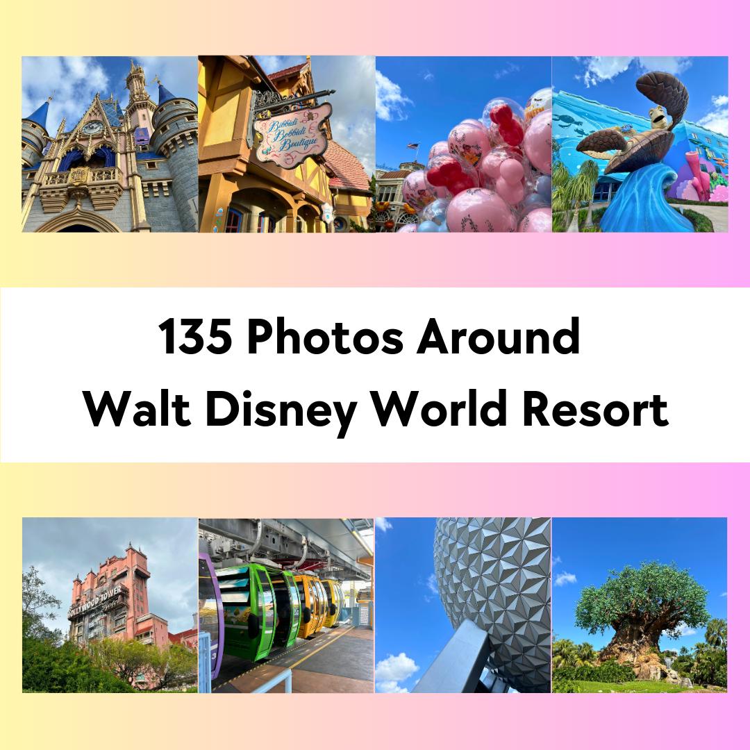 Walt Disney World Photos | 135 High-Quality Images for Social Media & Marketing