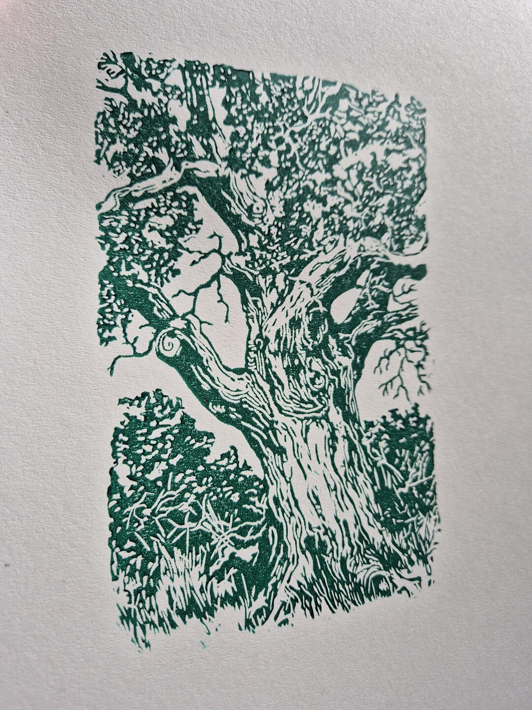 Linocut Print 10 - Oak Tree - Etsy