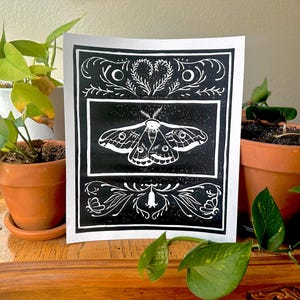 Moth- Linocut Original Print 8.5x10&quot;